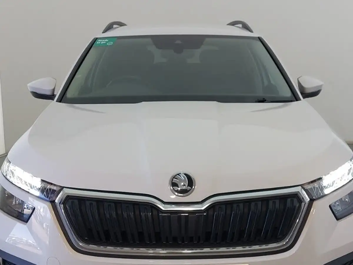 2022-skoda-kamiq-10-tsi-se-109ps-dsg-big-11