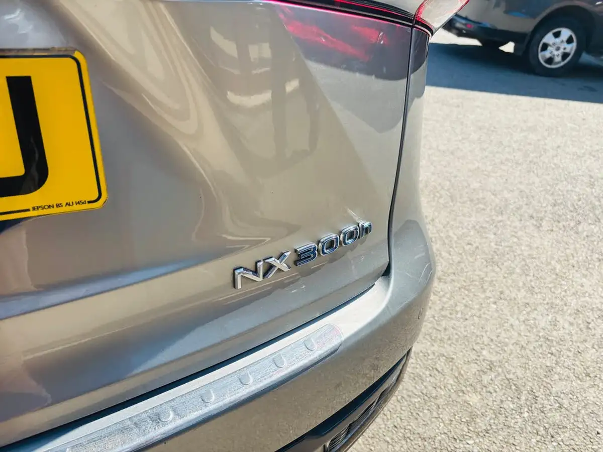 2018-lexus-nx-300h-25-f-sport-big-10