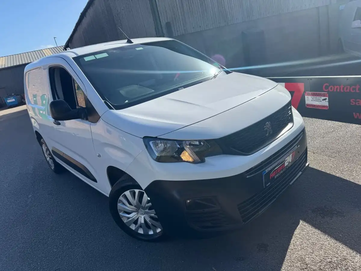 2021-peugeot-partner-15-bluehdi-1000-professional-100ps-eu6dt-panel-big-2