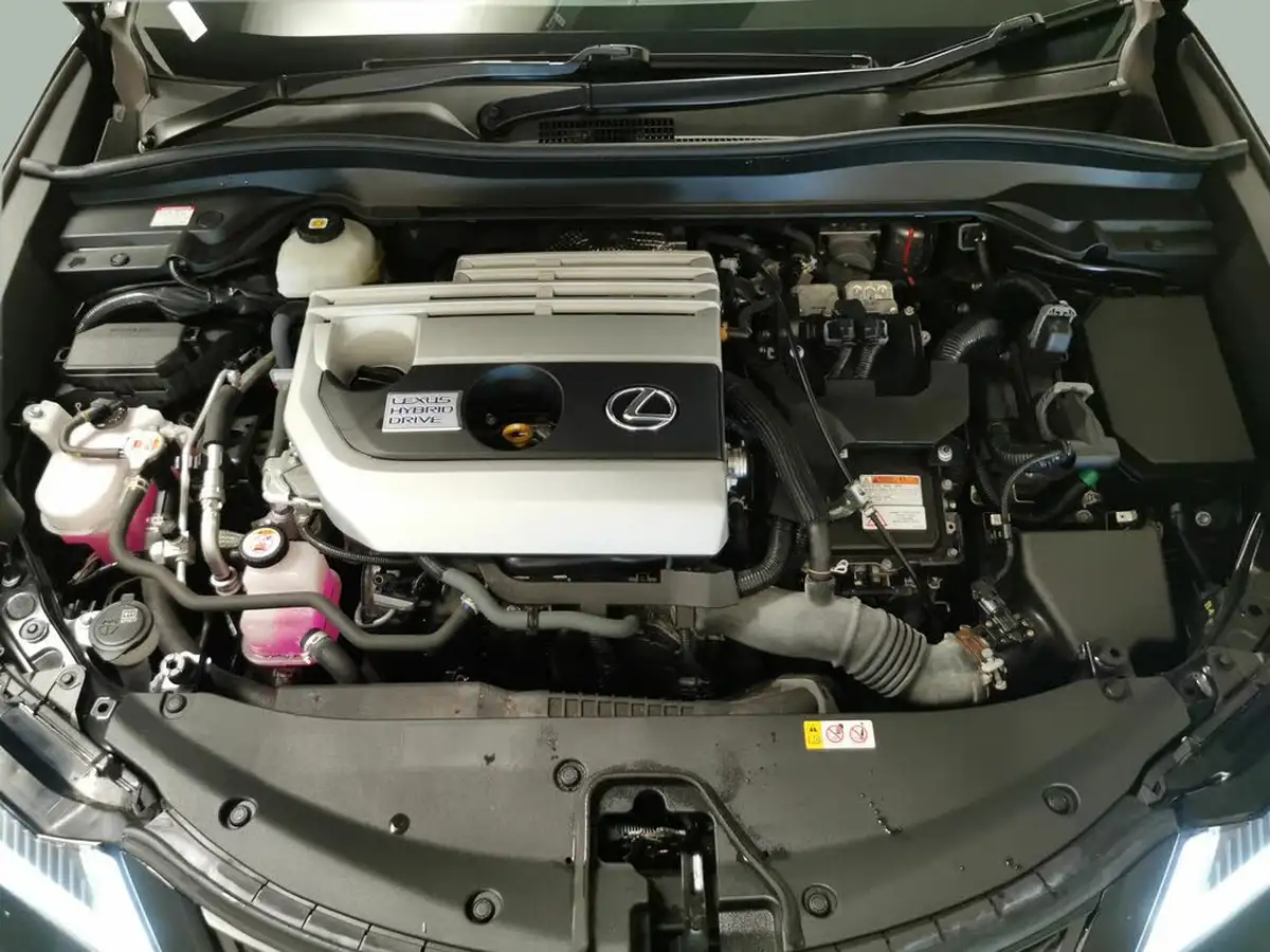 2021-lexus-ux-250h-20-f-sport-premium-pack-without-navigation-big-38