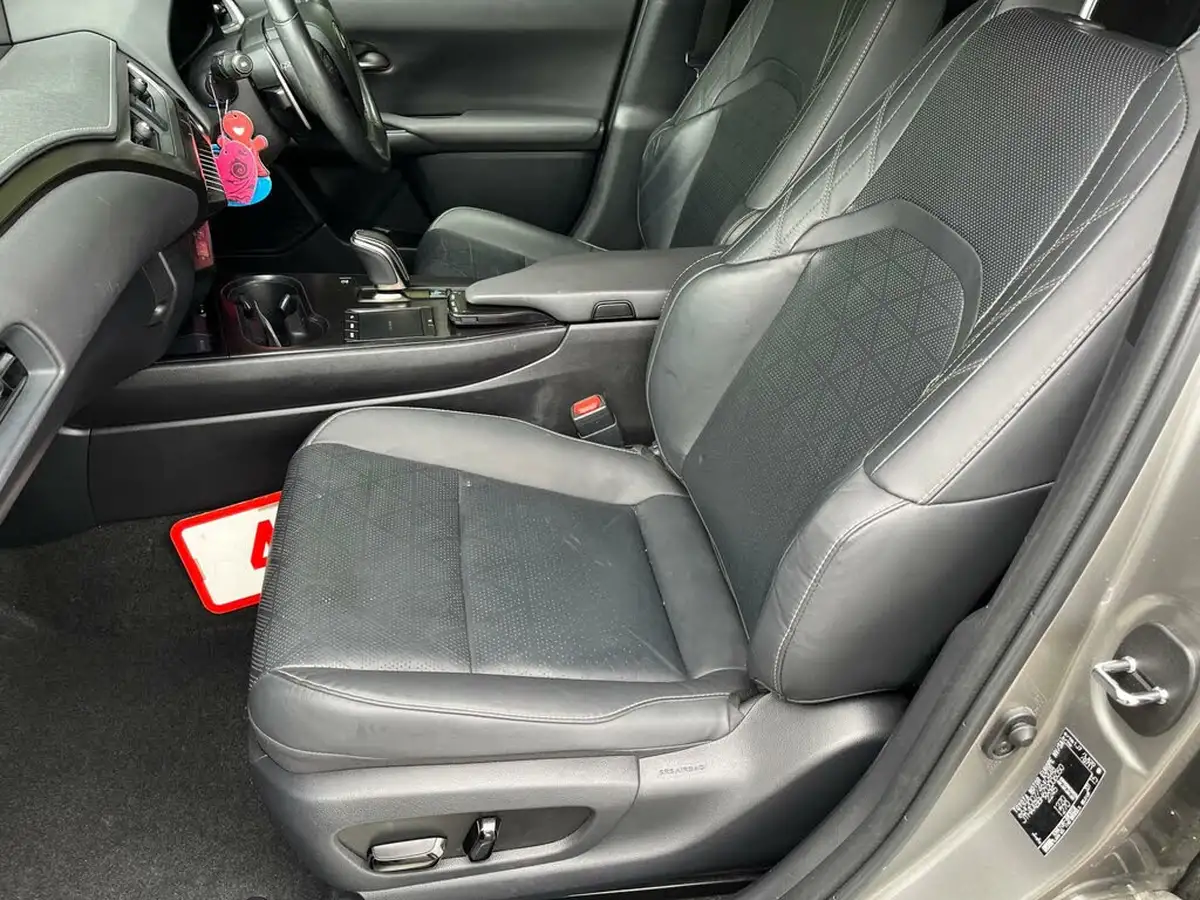 2021-lexus-ux-300e-e-ux-big-19
