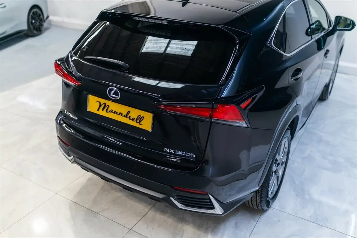 2019-lexus-nx-300h-25-nx-premium-pack-big-16