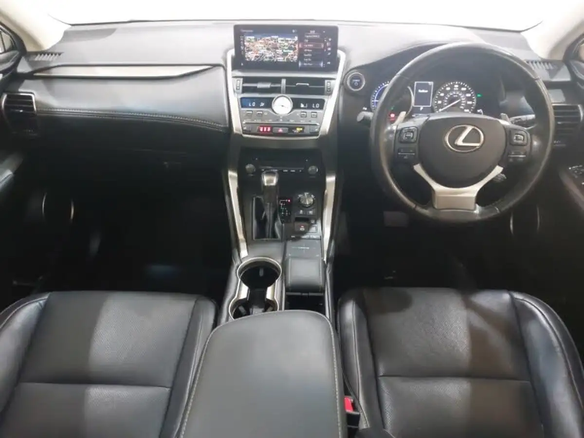 2017-lexus-nx-300h-25-luxury-big-2
