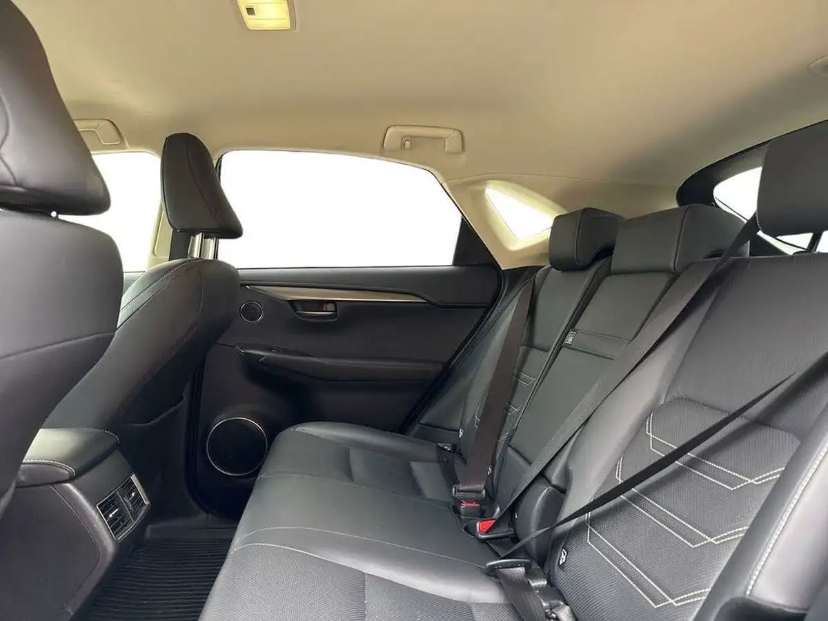 2019-lexus-nx-300h-25-luxury-big-16