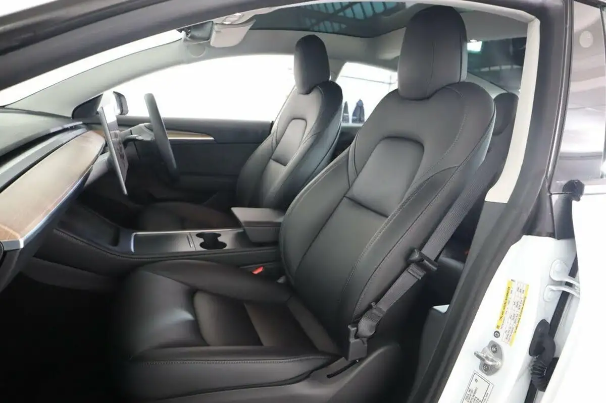 2021-tesla-model-3-e-standard-plus-big-52