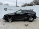 2019-lexus-nx-300h-25-nx-premium-pack-small-5