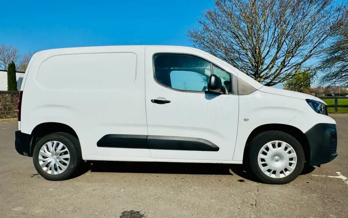 2020-peugeot-partner-15-bluehdi-1000-professional-100ps-eu6dt-panel-big-7
