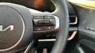 2025-kia-sportage-16-t-gdi-gt-line-s-207bhp-hev-auto-small-14