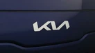 2021-kia-e-niro-ev-2-64-small-23