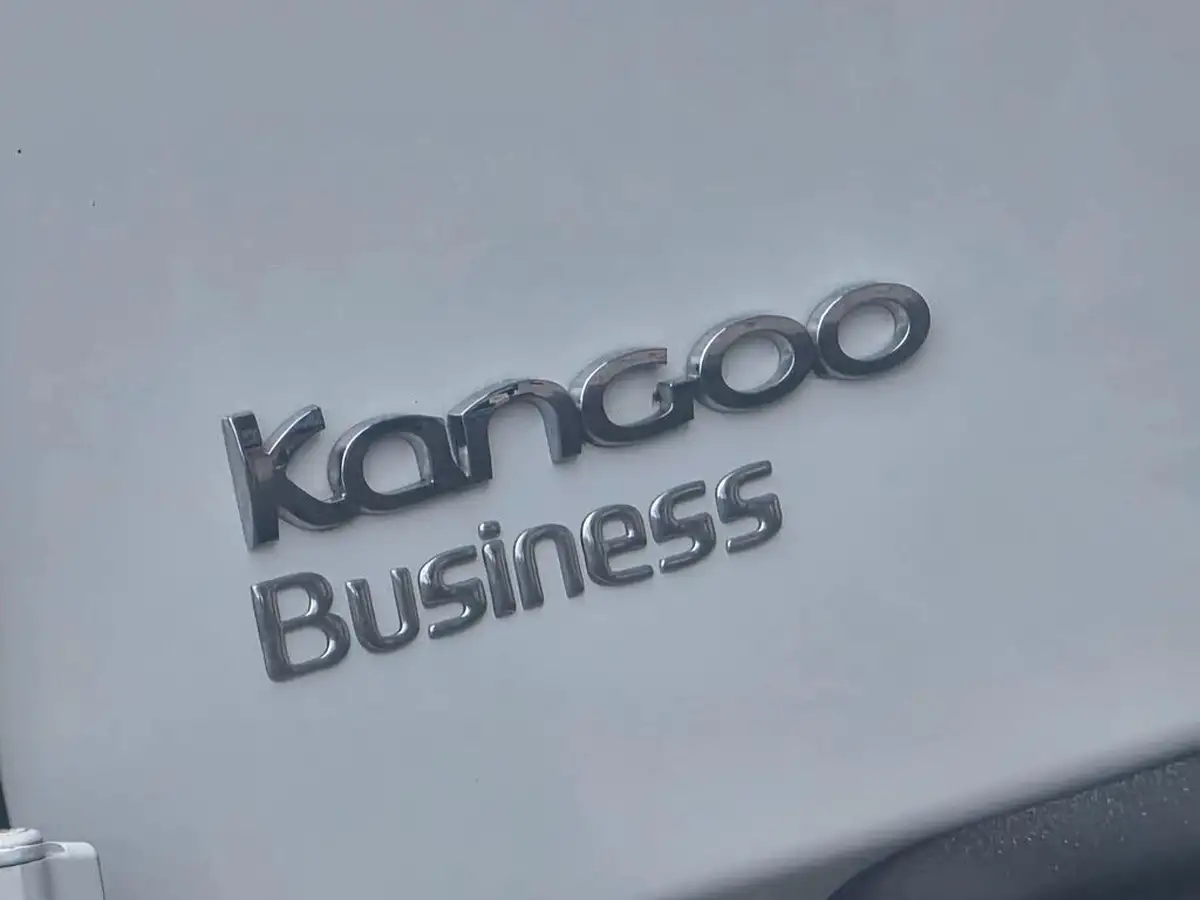 2019-renault-kangoo-maxi-e-maxi-ze33-panel-big-21