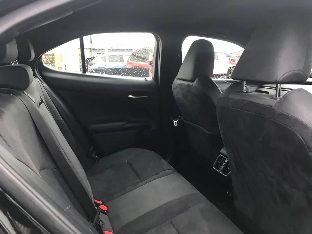 2019-lexus-ux-250h-20-ux-big-7