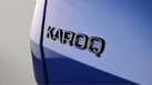 2021-skoda-karoq-15-tsi-sportline-dsg-small-21