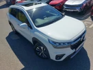 2024-suzuki-s-cross-14-boosterjet-ultra-small-12