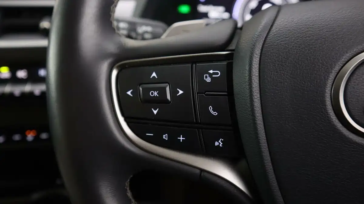 2021-lexus-ux-300e-e-ux-big-21