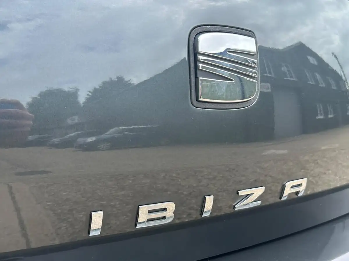 2009-seat-ibiza-16td-sportcoupe-3d-big-34