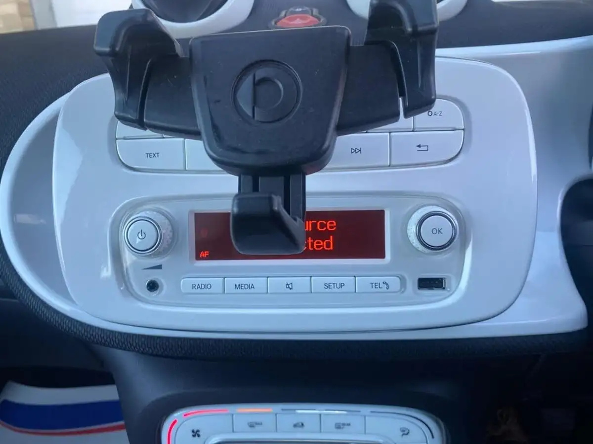 2015-smart-forfour-10-passion-ss-big-20