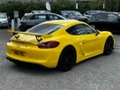 2016-porsche-cayman-38-gt4-small-4