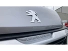 2023-peugeot-boxer-22-bluehdi-professional-premium-335-l3h2-panel-small-20
