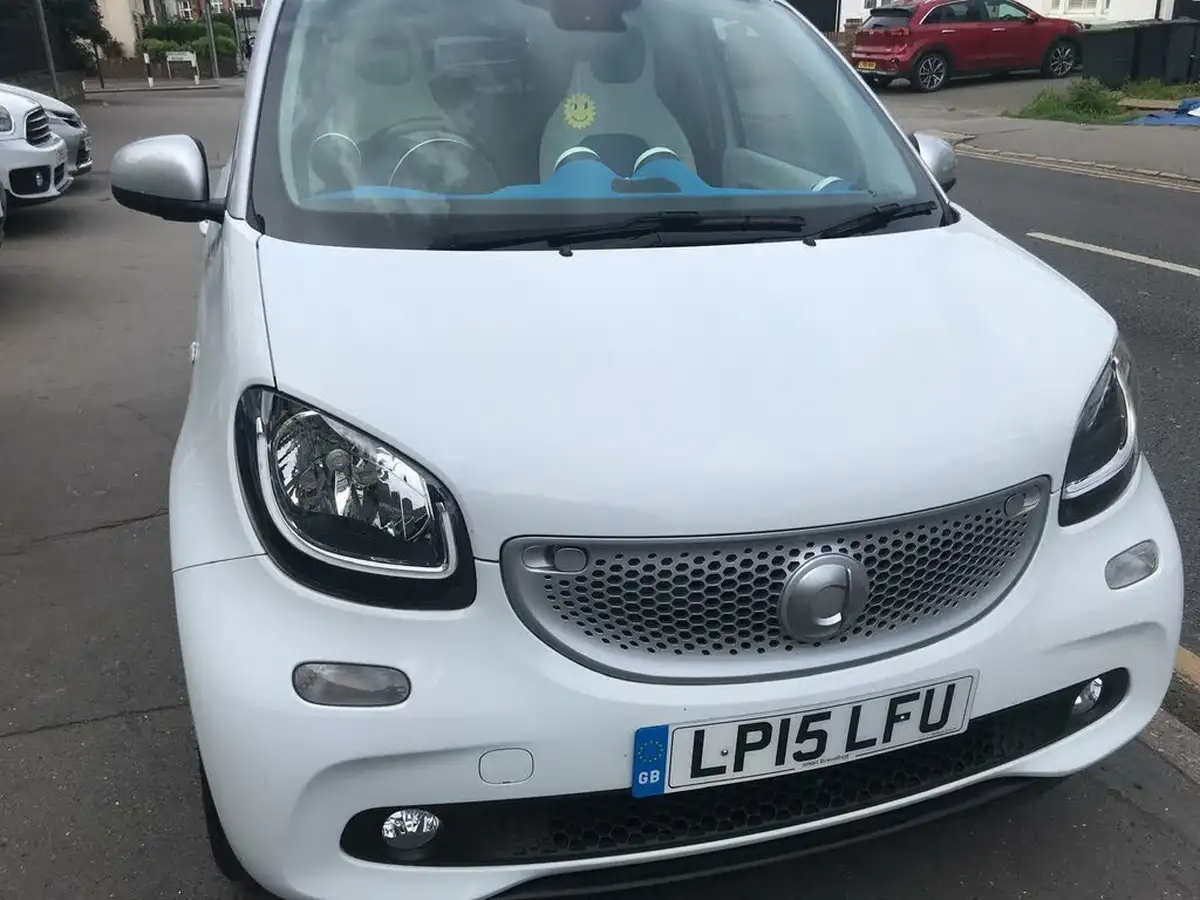 2015-smart-forfour-10-proxy-premium-plusss-big-12