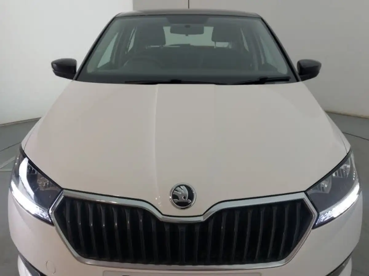 2020-skoda-fabia-10-mpi-colour-edition-60ps-big-11