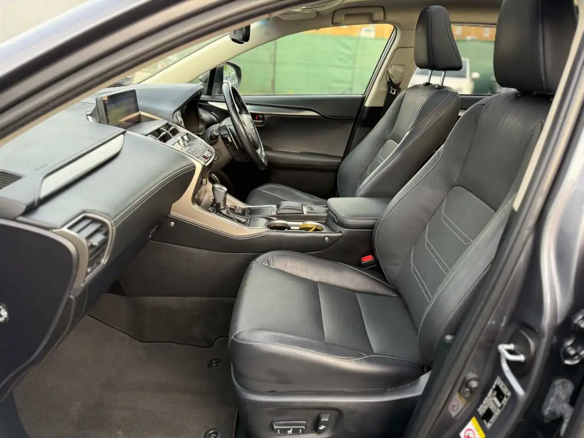 2018-lexus-nx-300h-25-luxury-big-22