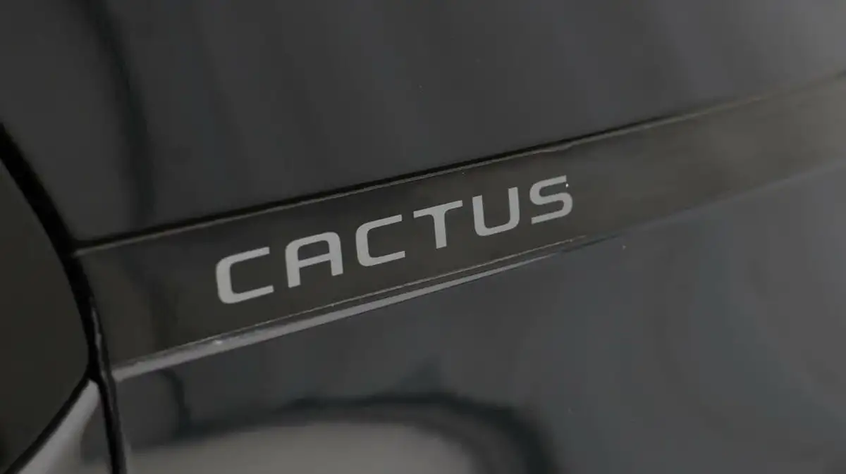 2018-citroen-c4-cactus-12-puretech-flair-110ps-big-21
