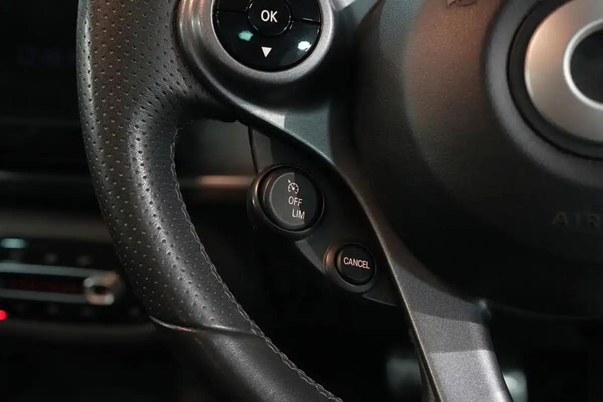 2020-smart-forfour-eq-pulse-premium-big-32