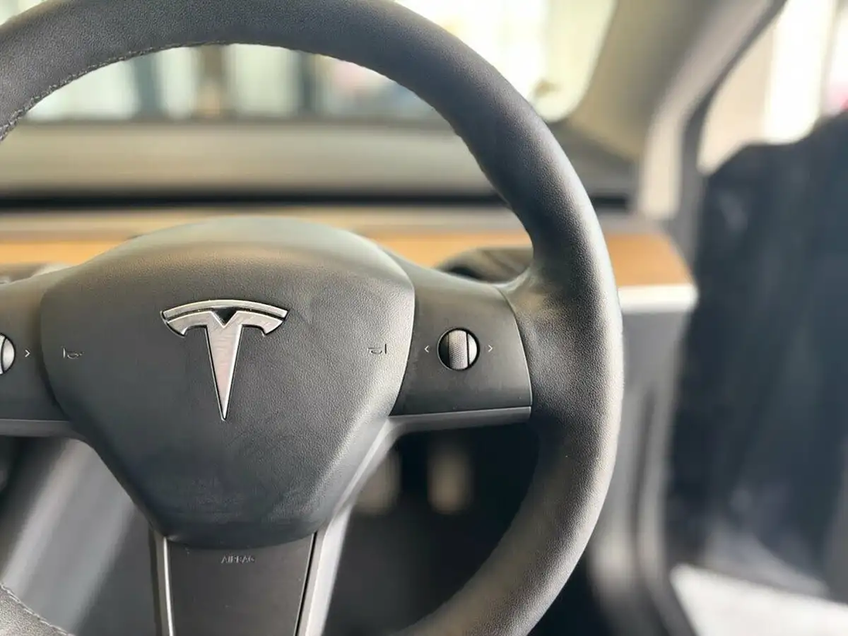 2021-tesla-model-3-e-long-range-4x4-big-12