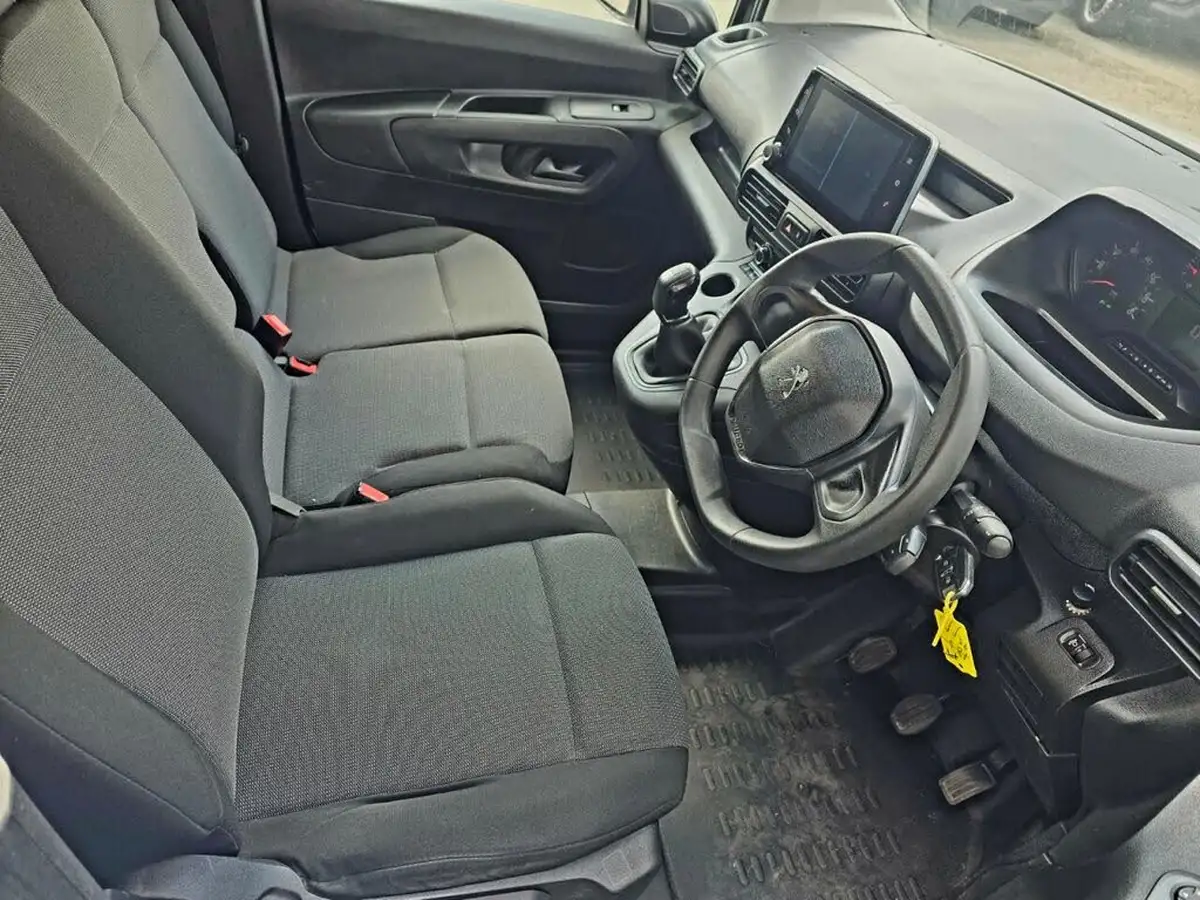 2019-peugeot-partner-15-bluehdi-1000-professional-100ps-eu6dt-panel-big-12