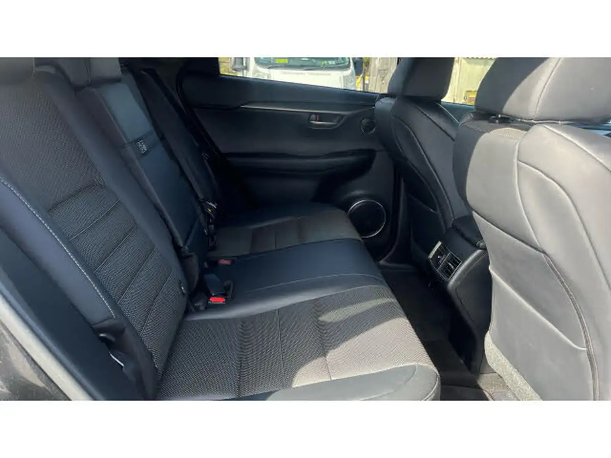 2021-lexus-nx-300h-25-f-sport-premium-pack-big-15