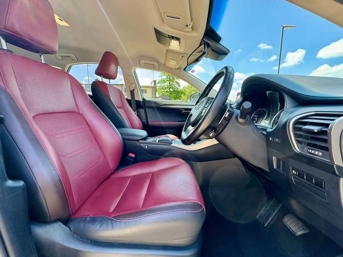 2018-lexus-nx-300h-25-luxury-p-navi-convenience-packpan-big-23