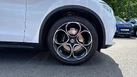 2021-alfa-romeo-stelvio-22td-speciale-small-19