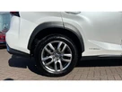 2020-lexus-nx-300h-25-nx-4wd-premium-sport-edition-small-6