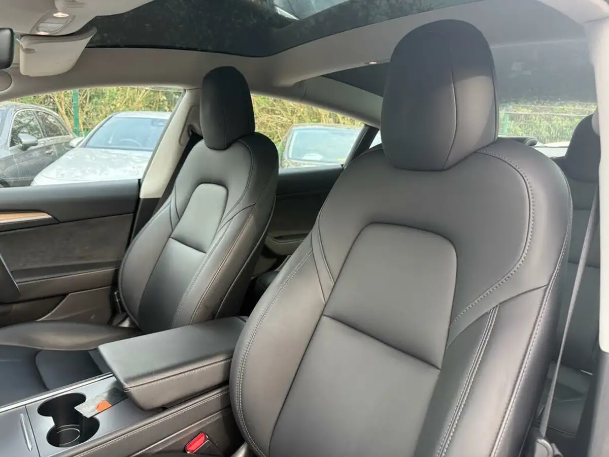 2021-tesla-model-3-e-long-range-awd-big-33