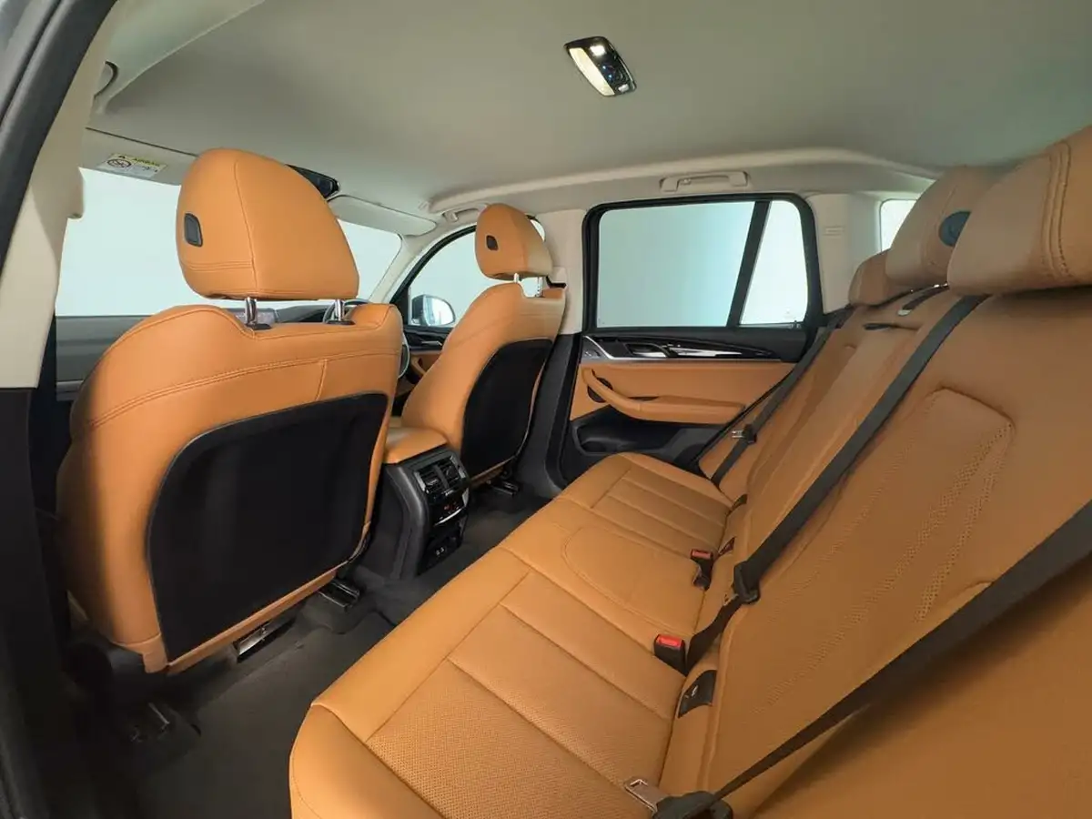 2022-bmw-x3-20-xdrive-30e-xline-big-10