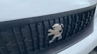 2023-peugeot-expert-15-bluehdi-professional-premium-standard-1000-small-28