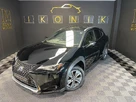 2022-lexus-ux-300e-e-ux-201bhp-small-4