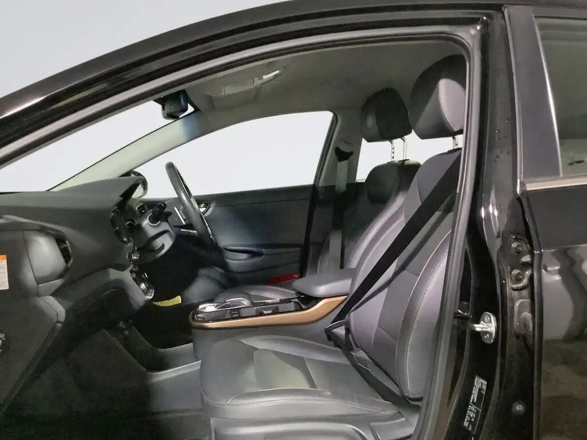 2017-hyundai-ioniq-e-premium-se-electric-big-15