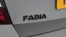 2021-skoda-fabia-10-tsi-monte-carlo-95ps-hatchback-dsg-small-19