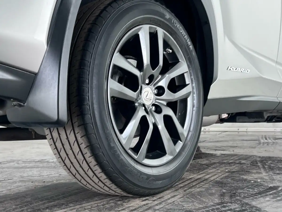 2017-lexus-nx-300h-25-luxury-big-8