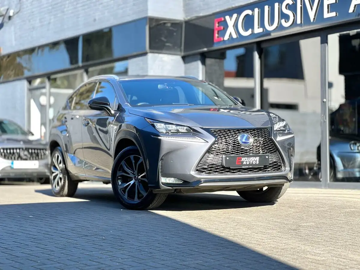 2017-lexus-nx-300h-25-f-sport-p-navipan-big-10