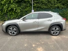 2021-lexus-ux-300e-e-ux-small-3