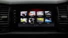 2021-skoda-kodiaq-20tdi-sportline-150ps-dsg-small-11