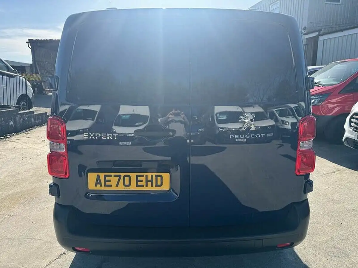 2021-peugeot-expert-20-bluehdi-professional-long-1400-eu6dt-panel-big-9