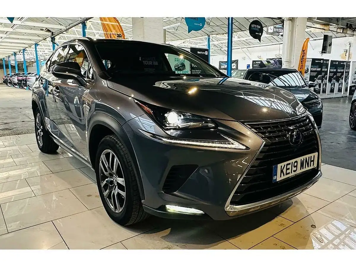 2019-lexus-nx-300h-25-nx-big-10