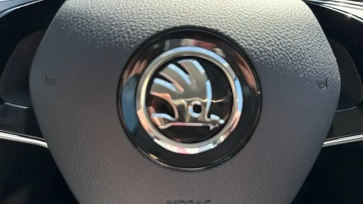 2022-skoda-kodiaq-20tdi-se-4x4-5-dsg-big-34