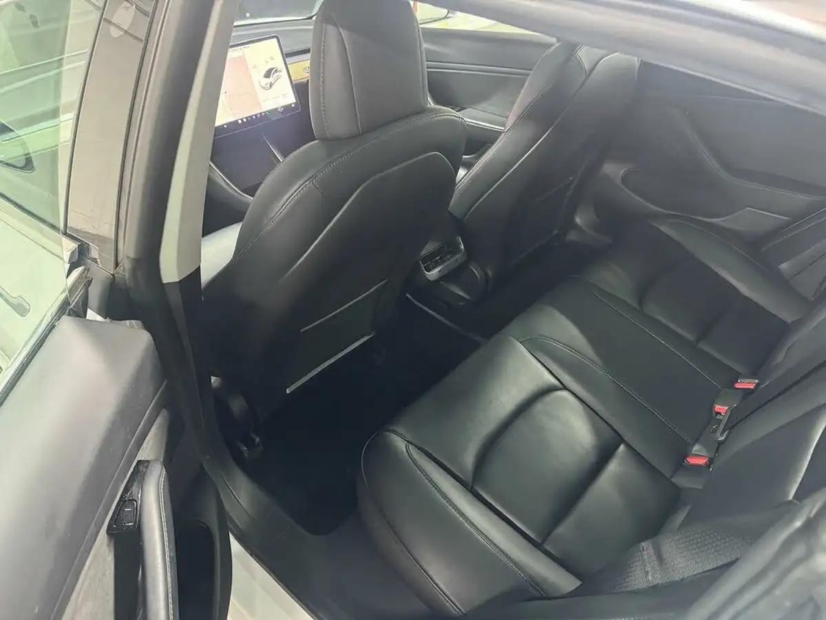 2019-tesla-model-3-e-standard-plus-big-50