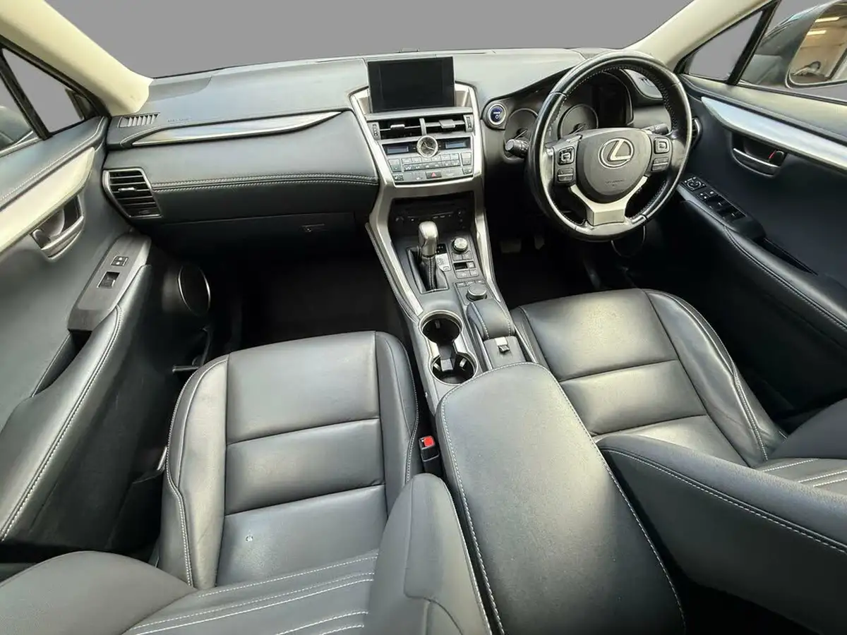2017-lexus-nx-300h-25-sport-big-11