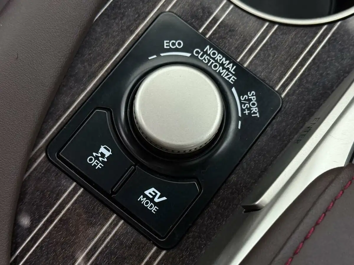 2018-lexus-rx-450h-35-premier-sun-big-48