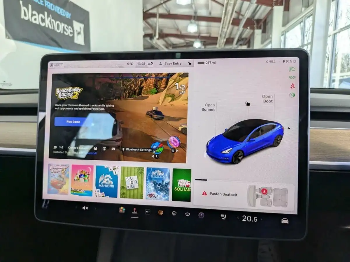 2020-tesla-model-3-e-standard-plus-big-20